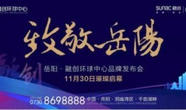 岳阳融创最新爆料消息,揭秘项目亮点与未来规划